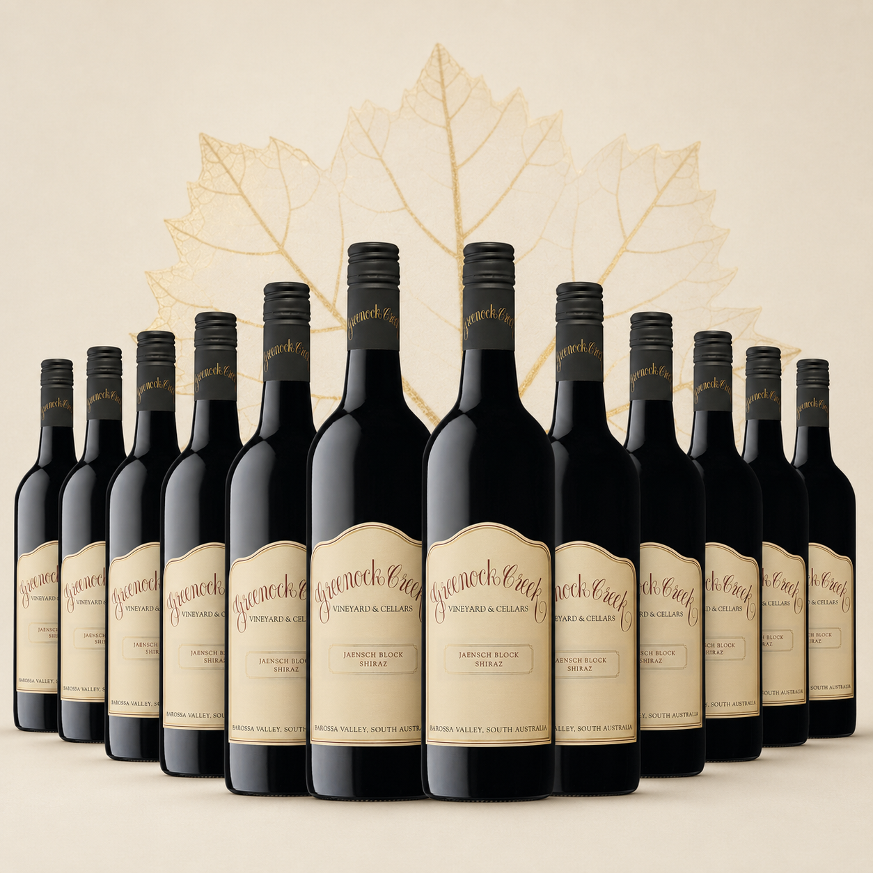 2019 Jaensch Block Shiraz 12-Pack